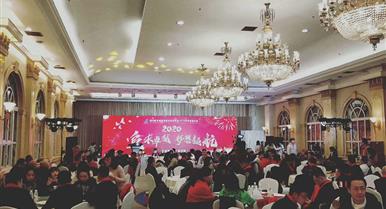 Z6人生就是博2020年新春团拜会盛大举...